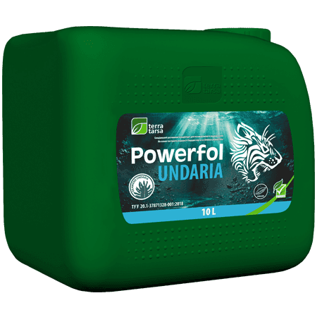 Powerfol Undaria — Terra Tarsa