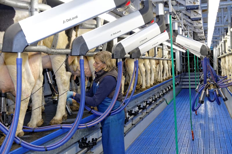 Parlor equipment DeLaval HB50 MidiLine — DeLaval