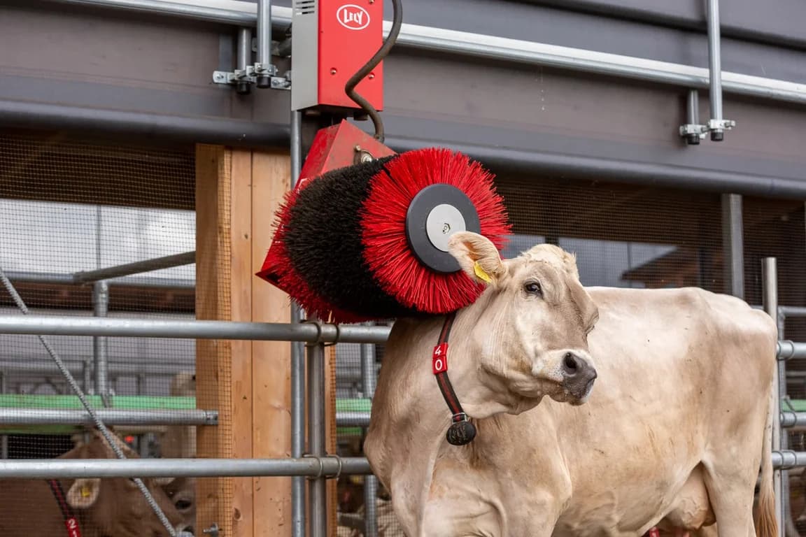 Barn fittings Lely Luna — Lely