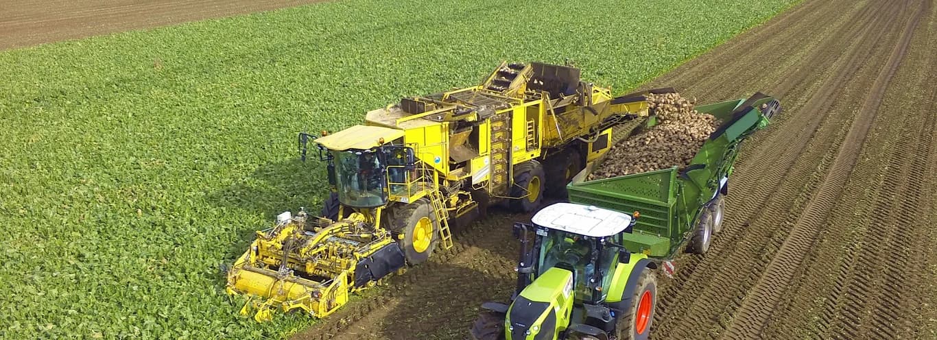 Beet harvester ROPA Tiger 5 - Waschbär — ROPA