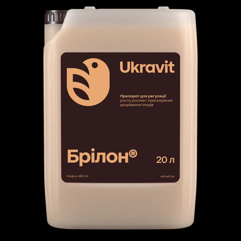 Brilon — Ukravit