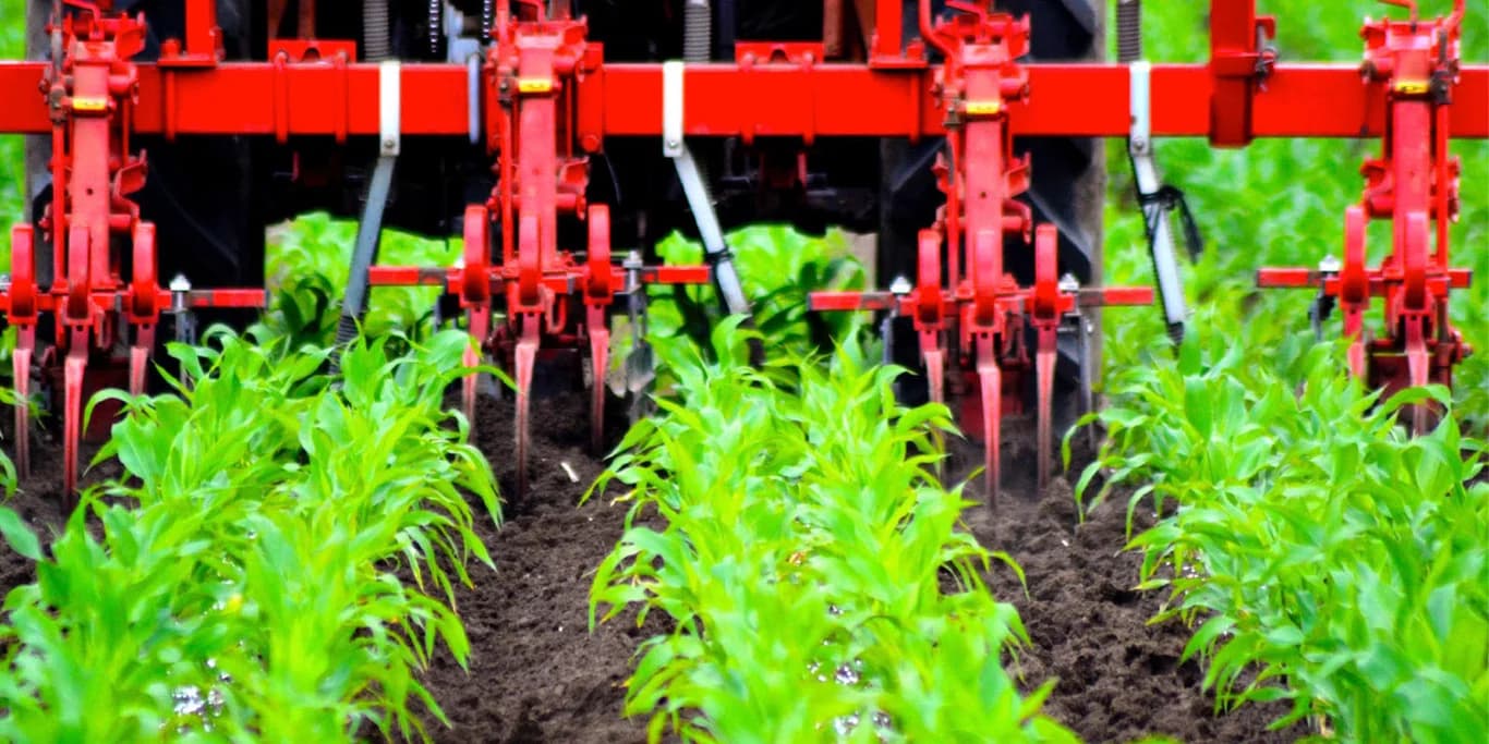 Inter-row cultivator MaterMacc UNICA F — MaterMacc