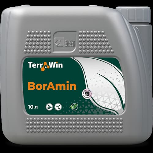 Terrawin BorAmin — Terra Tarsa