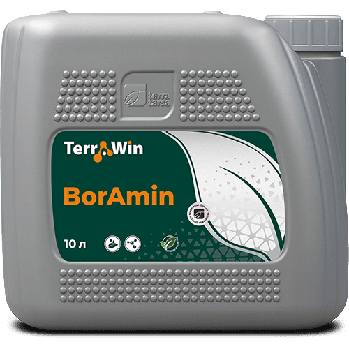 Terrawin BorAmin — Terra Tarsa