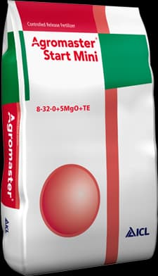Agromaster Start Mini 8-32-0+5MgO+9SO3+TE 1-2M — ICL
