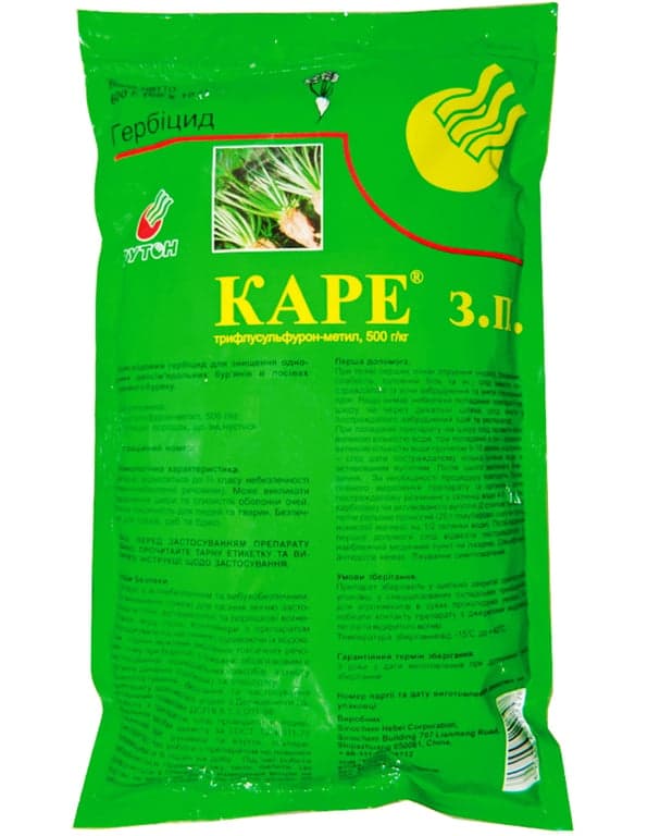 Kare — Nertus