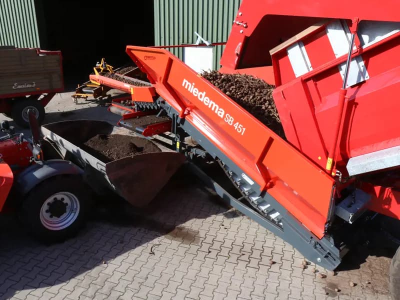 Potato conveyor Dewulf SB 451 — Dewulf