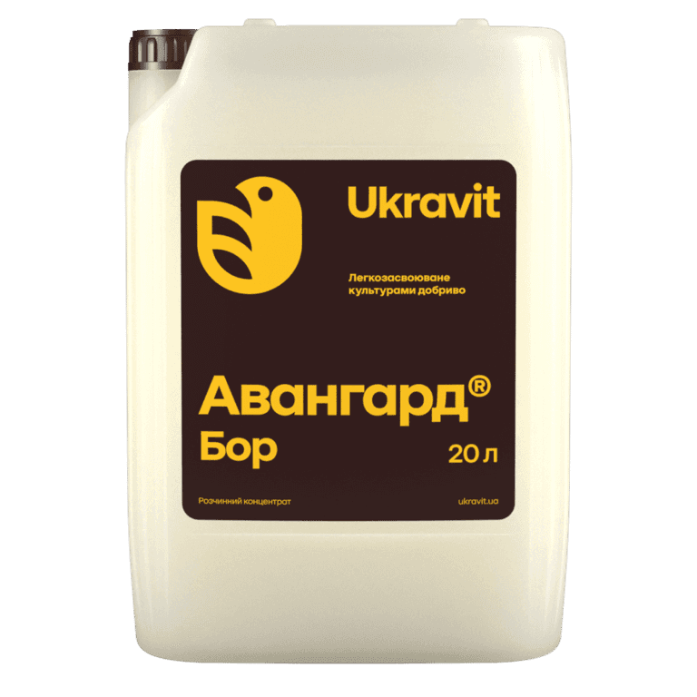 Avangard Boron — Ukravit
