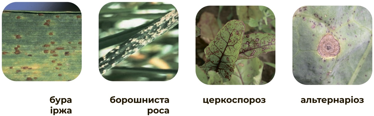 -1.jpg?1699602623336