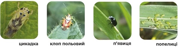 -4.jpg?1699543758518