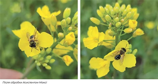 _17300x.jpg?1699437337572