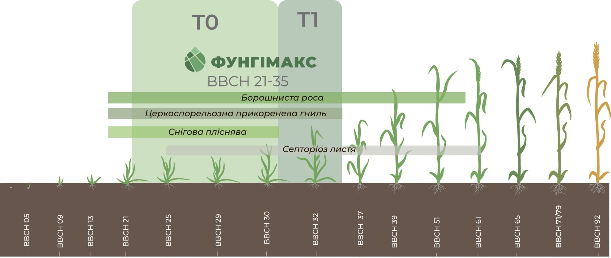 Результати роботи Фунгімакс