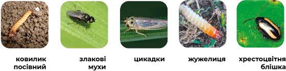 _373x.png?1699890663659