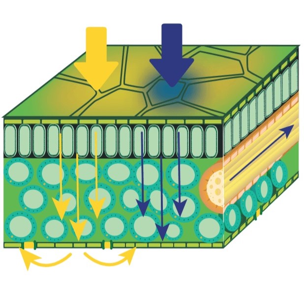 __2020-12-04__112059.jpg?1699878806988