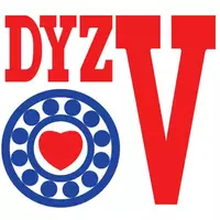 DYZV