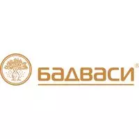 Бадваси