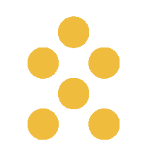 ШУМАДА Н. Н. ФОП