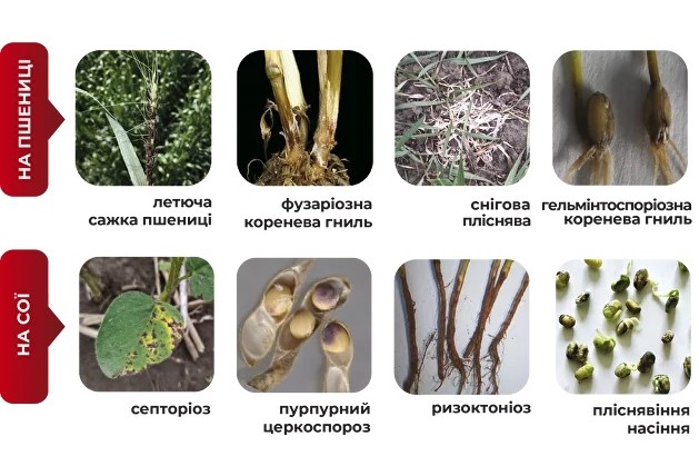 photo.jpg?1699949690757