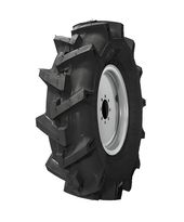 BKT 6.00-12 4PR 69А6 TR 128 TT