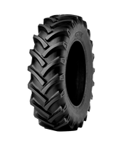 GTK 11,2-20 113A6 8PR AS100 TT