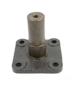 647454.T Стойкая коромысла соломотряса