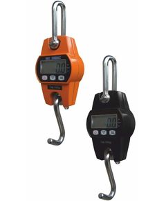 Весы крановые ВК ЗЕВС I