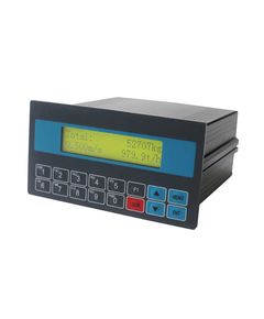 Индикатор конвейерный Supmeter BST100-D12