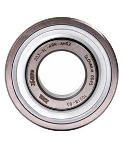 203KRR AH02 Підшипник INA