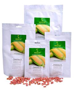 Кукуруза суперсладкая Гермиона F1, раннеспелый