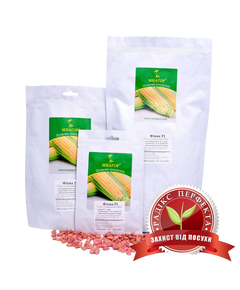 Кукурудза цукрова Фіона F1, ранньостиглий