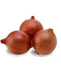 Професійне насіння цибулі ріпчастої Аттіка F1 (Cora Seeds) 250 000 шт.