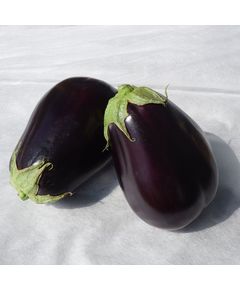 Професійне насіння баклажана тип Клорінда Сара F1 (Cora Seeds) 1000 шт.