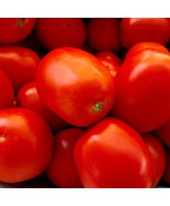 Професійне насіння томату дет. Албароссо F1 (Cora Seeds) 1000 шт.