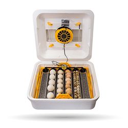 Інкубатори