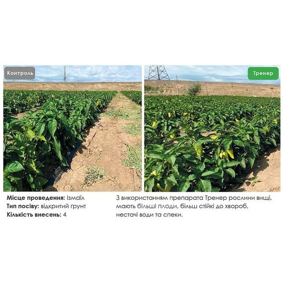 Биостимулятор Агротека Тренер Стим